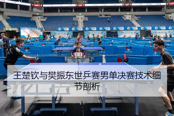 王楚钦与樊振东世乒赛男单决赛技术细节剖析